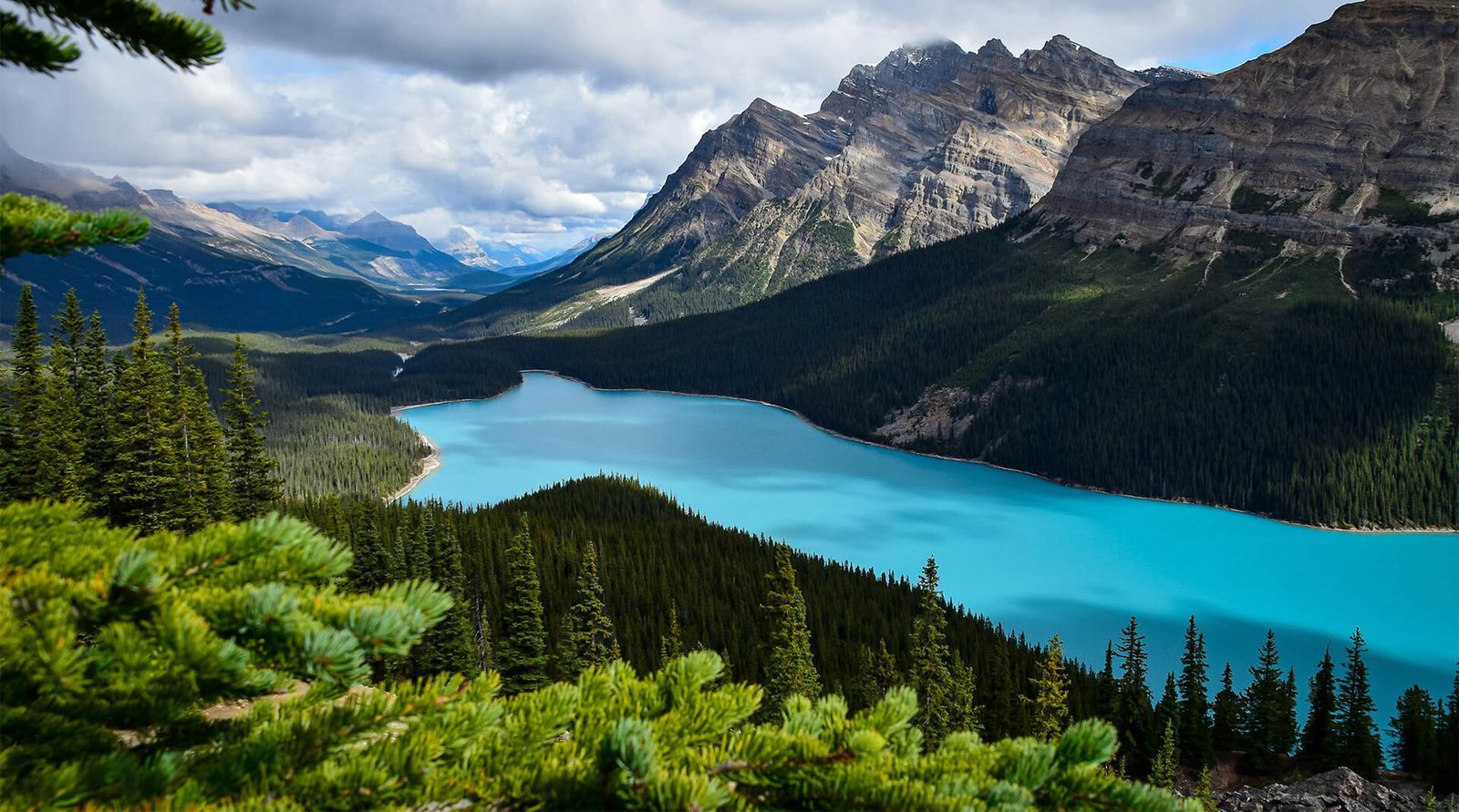 Lorem ipsum dolor sit amet