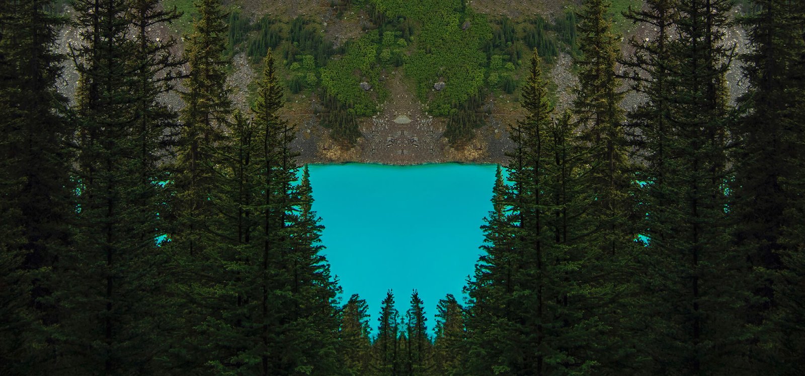 Lorem ipsum dolor sit amet